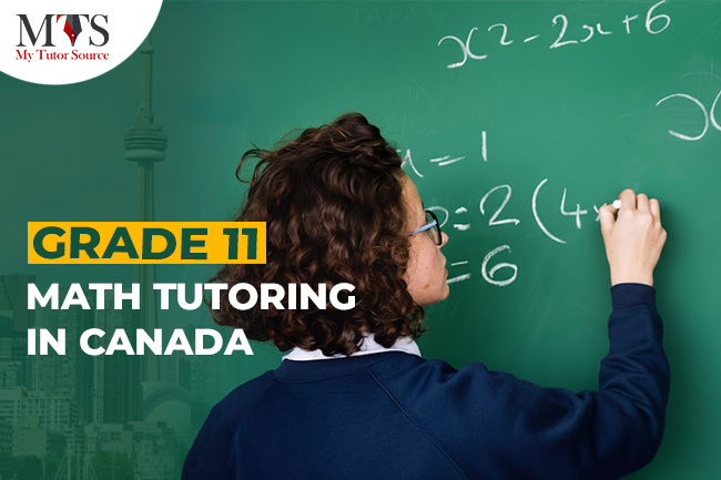 Stuck at Grade 11 Math? Learn Smartly With MTS